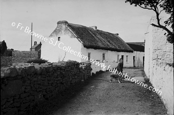 HOUSE WITH WOMAN AND DOG